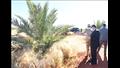 متحدث الرئاسة ينشر صور تفقد السيسي لمشروع توشكى وحصاد القمح