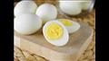 الأفراد الذين تناولوا كمية معتدلة من البيض لديهم مستويات أعلى من البروتين في دمائهم يسمى البروتين ال