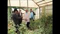 وزير الزراعة ومحافظ القليوبية يتفقدان صوب المشروع القومي لإنتاج التقاوي