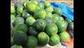 كيف تختار البطيخ على طريقة التجار في كفر الشيخ