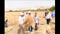 مشاركة رئيس جامعة سوهاج في موسم حصاد القمح