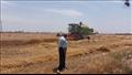أستاذ زراعة يعلن نجاح حصاد قمح الجفاف عرابي 1881 في الأرض الرملية