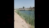 ترعة الفاروقية