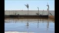 تفقد محطة المعالجة البيولوجية للصرف الصناعي في بورسعيد 