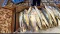 الركود وارتفاع الأسعار يضربان سوق السمك في السويس 