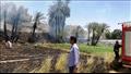 حريق فى زراعات النخيل بقرية الزنيقة