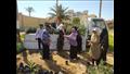 أنشطة القطاع الزراعي بجنوب سيناء (9)