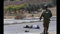 مستوطن إسرائيلي يقتل فلسطينيًا طعنًا بسكين