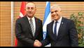 وزيرا الخارجية التركي والإسرائيلي