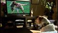  ماذا ترى الكلاب عندما يشاهدون التليفزيون.. وهل يستمتعون؟