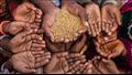 أزمة جوع عالمية  بسبب القمح