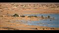 وادي حلفا في السودان