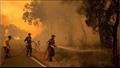 رجال الإطفاء يكافحون حريق شب في غابة بالقرب من مدي