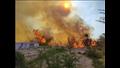 حريق مزرعة نخيل في قرية الراشدة 