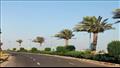 أشجار النخيل تزين الشوارع بجنوب سيناء (18)
