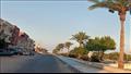 أشجار النخيل تزين الشوارع بجنوب سيناء (20)