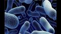 تفاصيل عقار جديد يحارب 300 نوع بكتيريا مقاومة للمضادات الحيوية