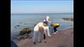مبادرة لتنظيف شواطئ مدينة دهب
