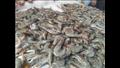 أسعار الأسماك داخل السوق الجديد في بورسعيد