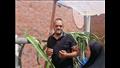عبد الفتاح ينقل فاكهة التنين من آسيا إلى سطح منزله 