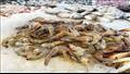 أسعار أكثر من 100 نوع سمك داخل سوق بورسعيد 