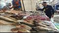 أسعار أكثر من 100 نوع سمك داخل سوق بورسعيد 