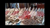 أسعار السمك اليوم