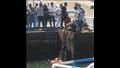 إنقاذ رجل سقط في مجرى قناة السويس