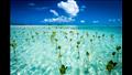 طبيعة سحرية على جزر توفالو