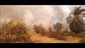 حريق هائل بمزرعة نخيل  بقرية الموشية  (6)