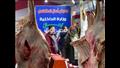 معرض أهلا رمضان في محافظة الجيزة