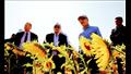 مبادرة لتشجيع زراعة الذرة الشامية