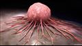  هل لا يستطيع جهاز المناعة قتل الخلايا السرطانية ؟