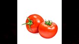 طماطم