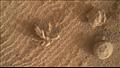 صورة للزهرة المعدنية على سطح المريخ