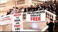 مايكل مور يطالب بوقف إطلاق النار في غزة