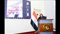 لقاء الوزيرة مع رموز وأبناء الجاليات المصرية 