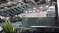منتجات الإنتاج الحربي قي معرض إيديكس للصناعات الدفاعية