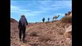 السائحون يتجولون في صحراء سانت كاترين
