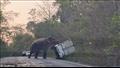 فيل يقلب سيارة على الطريق لسبب غريب .. فما القصة؟