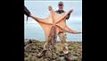  رجل يعثر على أخطبوط طوله 2 متر