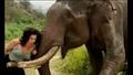 فيل ينتقم من امرأة بطريقة وحشية.. والسبب غير متوقع 