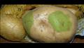 البقع الخضراء على البطاطس