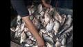 سوق الأسماك في أسوان