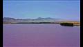 بحيرة ملونة في العراق