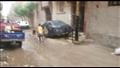 أمطار في بني سويف (2)