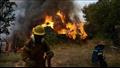 اندلاع حريق جديد في جزيرة رودس اليونانية وإخلاء 3 