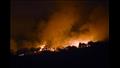 حرائق الغابات في تونس