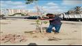 زراعة أشجار في الإسكندرية