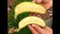 الموز السوبر يحتوي على جميع العناصر الغذائية